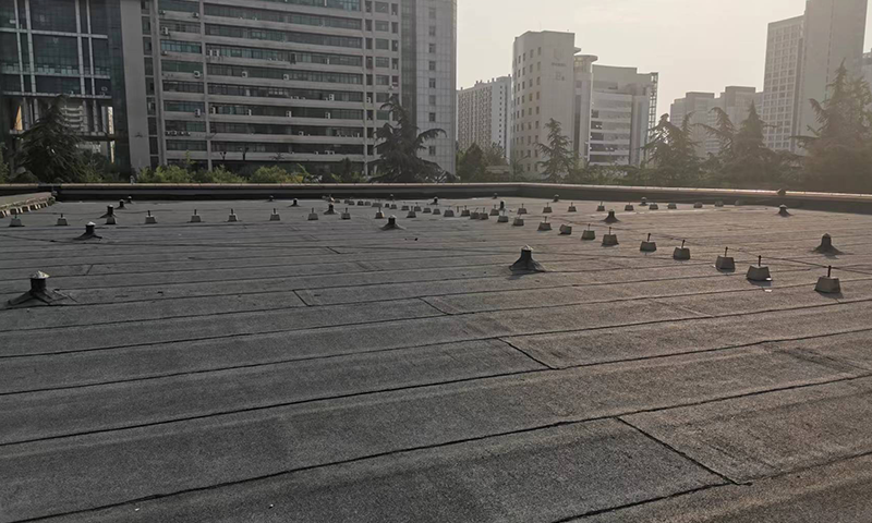 2025新老澳门原料