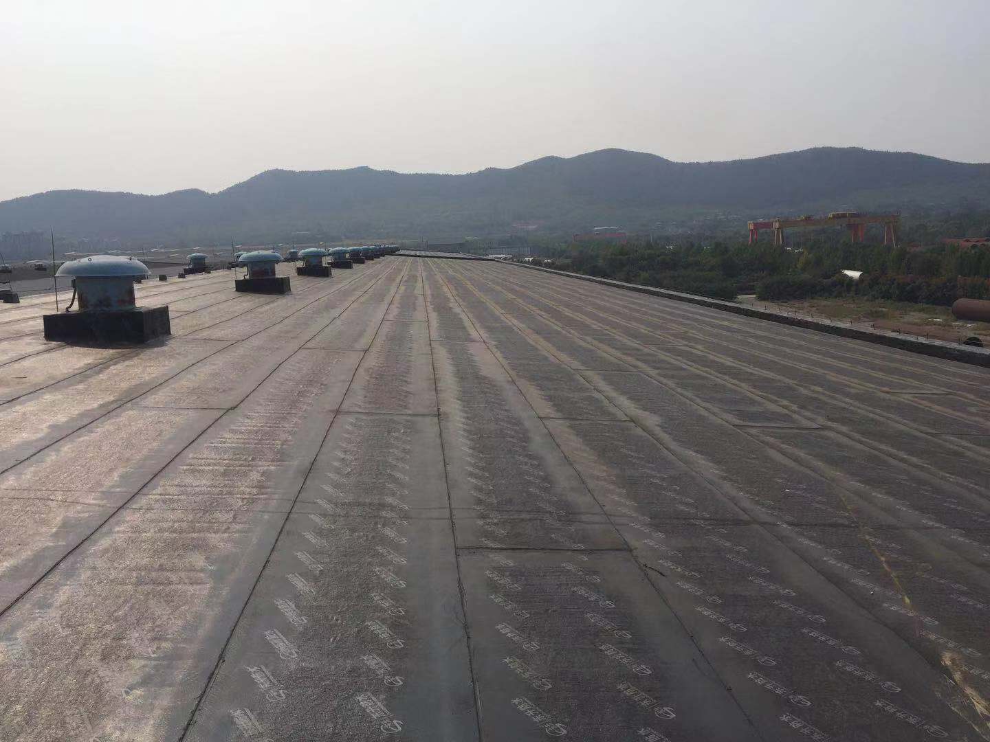 2025新老澳门原料
