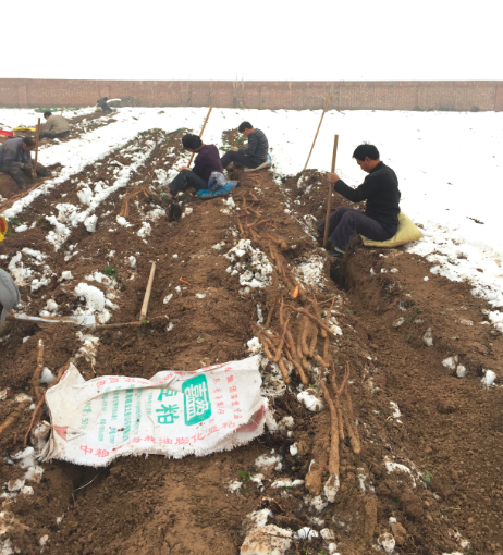 QQ截图20151201003547