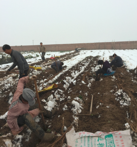 QQ截图20151201003706