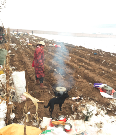 QQ截图20151201004723