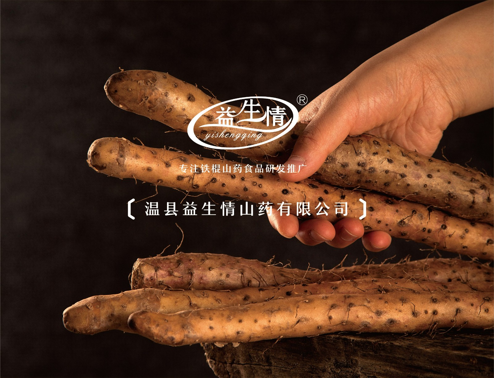 2025新老澳门原料